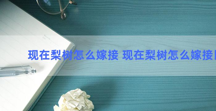 现在梨树怎么嫁接 现在梨树怎么嫁接比较好